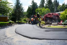 Professional Driveway Paving Services in Monee, IL